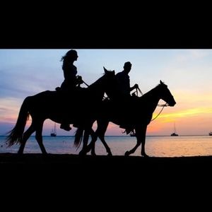 Meet your Posher, Armando